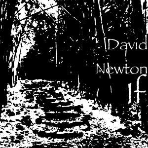 收听David Newton的If歌词歌曲
