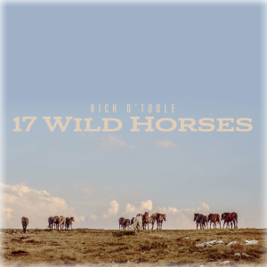 Album 17 Wild Horses from 