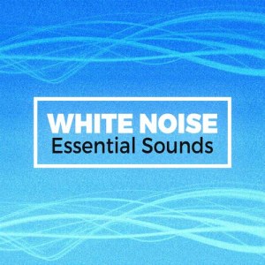 ดาวน์โหลดและฟังเพลง White Noise: Torrent พร้อมเนื้อเพลงจาก Outside Broadcast Recordings