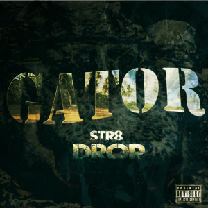 Listen to 365 (Explicit) song with lyrics from Gator
