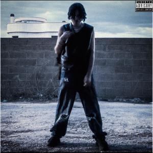 收聽Misterpin的FEELINGS (Explicit)歌詞歌曲