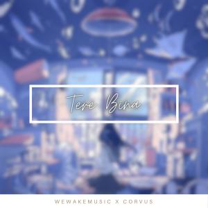 ดาวน์โหลดและฟังเพลง Tere Bina พร้อมเนื้อเพลงจาก WeWakeMusic