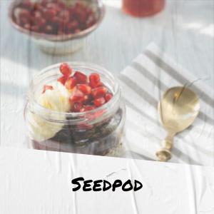 收听Patson Poen的Seedpod歌词歌曲