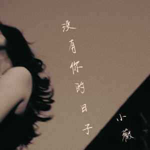 Album 没有你的日子(女版) from 小薇