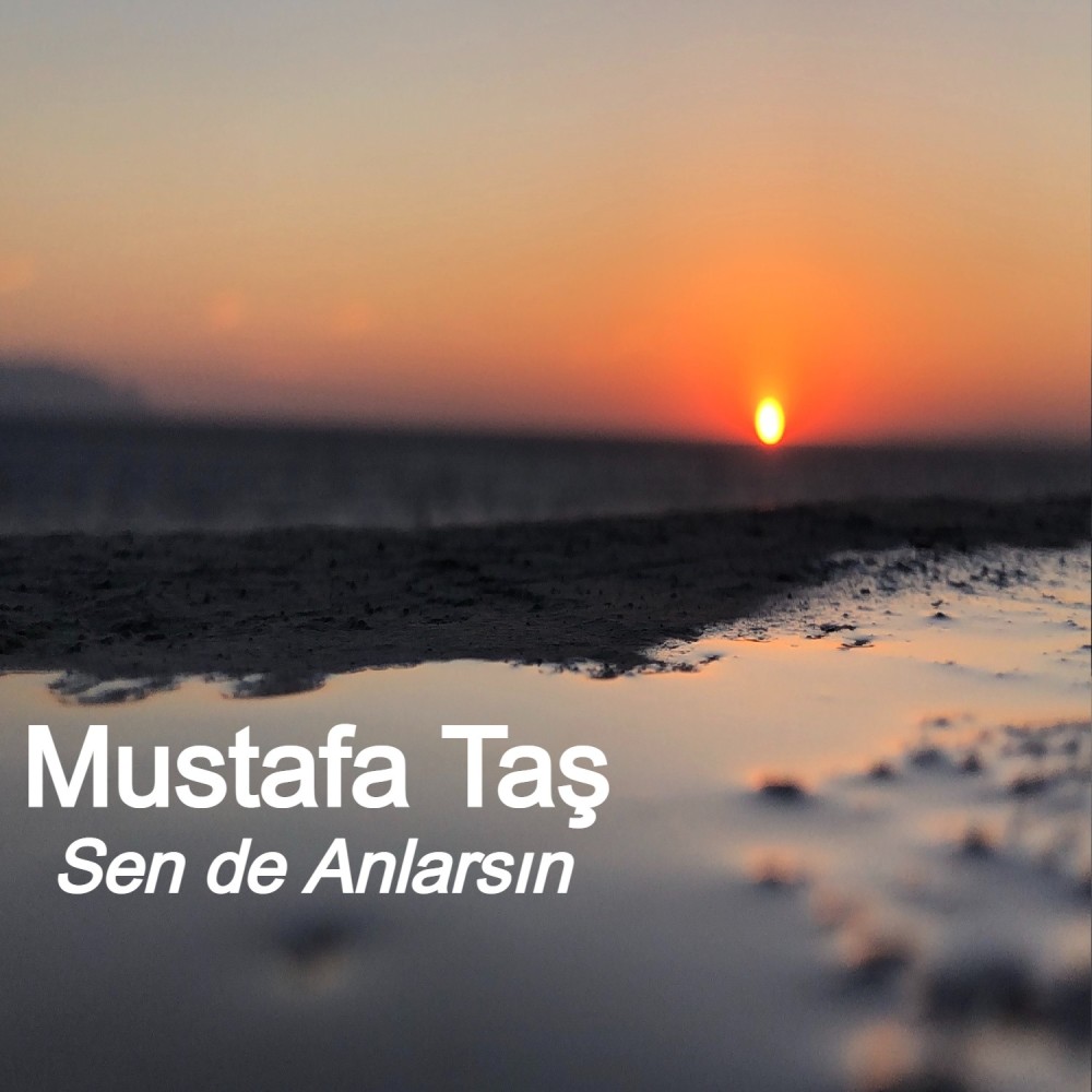 Sen De Anlarsın