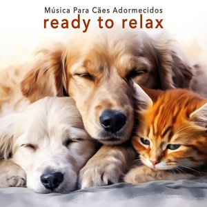 Música Para Cães Adormecidos的專輯Ready To Relax