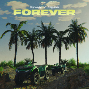 Tion Wayne的專輯Forever (feat. Shallipopi) [Explicit]