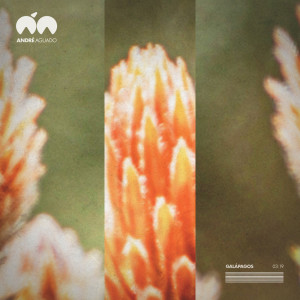 ดาวน์โหลดและฟังเพลง Galápagos พร้อมเนื้อเพลงจาก André Aguado