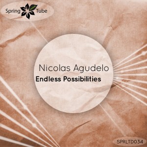 收聽Nicolas Agudelo的Endless Possibilities歌詞歌曲