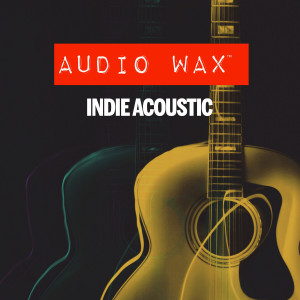 Various Artists的專輯Indie Acoustic