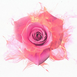 Album Весна from SHAWY