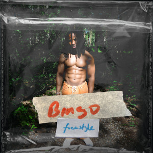Album Bingo Freestyle from Israel Nke
