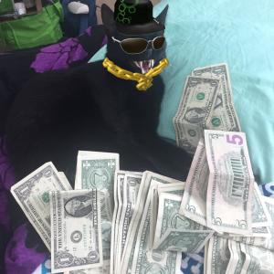 Album A Generic Rap EP About Money (Explicit) from tfnolan