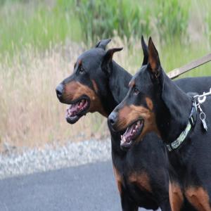 Dengarkan drama island (Explicit) lagu dari yen5k dengan lirik