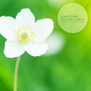Album Natural Emotional Piano With Beautiful Season (Nature Ver.) oleh Various Artists