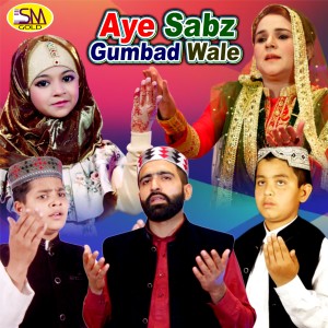 收聽Muhammad Shahzaib Madni的Ay Sabz Gumbad Walay歌詞歌曲