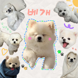 收听Chawoo(차우)的Hug Me歌词歌曲