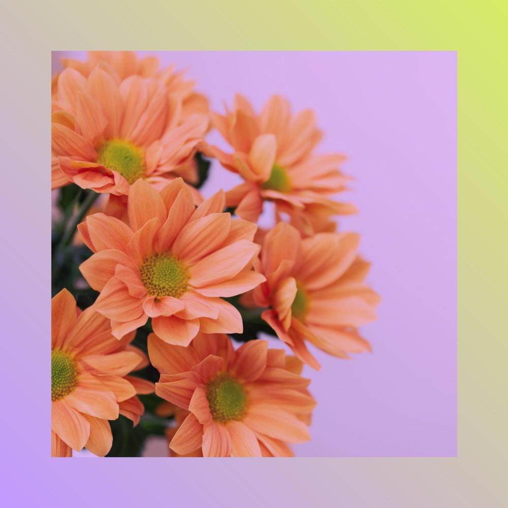 Stressed (Explicit)