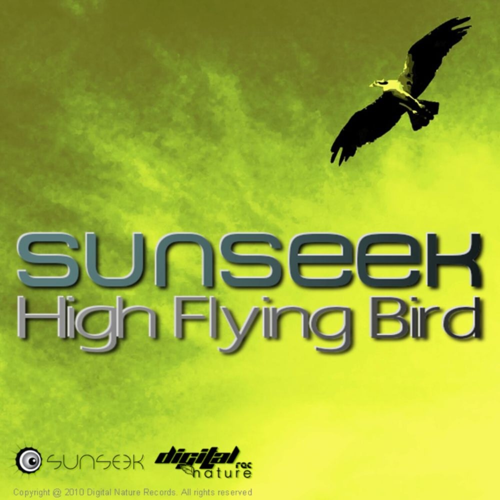 High Flying Bird (Original Mix)