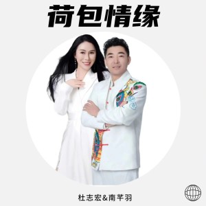 Listen to 荷包情缘 (完整版) song with lyrics from 杜志宏