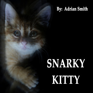 อัลบัม Snarky Kitty ศิลปิน Adrian Smith
