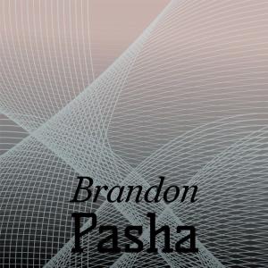 อัลบัม Brandon Pasha ศิลปิน Various