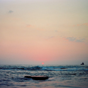 ดาวน์โหลดและฟังเพลง Brutalism พร้อมเนื้อเพลงจาก Visceral Sound