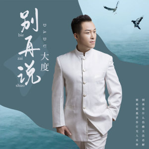 Listen to 别再说 song with lyrics from 大度