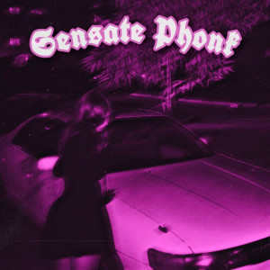 Listen to Sensate Phonk (Explicit) song with lyrics from PLXYAE
