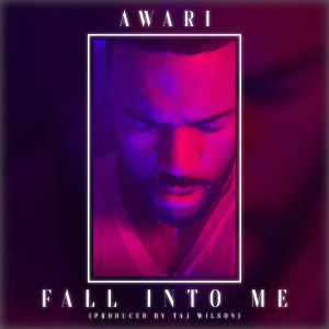 Album Fall into Me from Awari