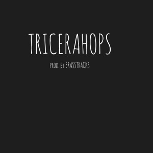 Dengarkan lagu Tricerahops nyanyian Too Many Zooz dengan lirik