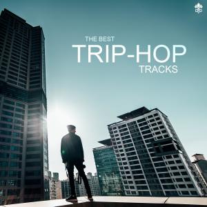 Album The Best Trip-Hop Tracks from Various