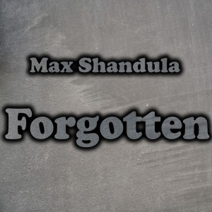 Listen to Forgotten song with lyrics from Max Shandula