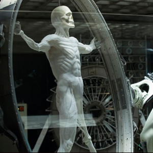 Height的專輯Westworld