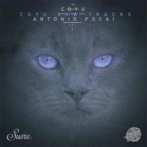 Album Transportador from Coyu