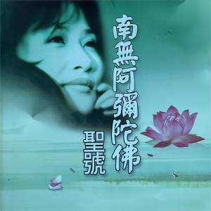 Listen to 南无阿弥陀佛圣号 song with lyrics from 李娜