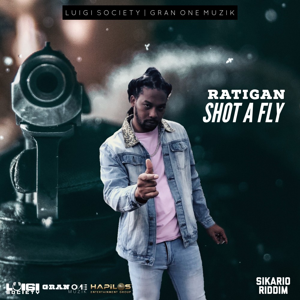 Shot a Fly (Radio Edit)