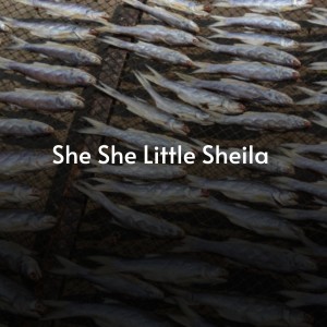 Listen to But You Lied song with lyrics from Cathy Carroll