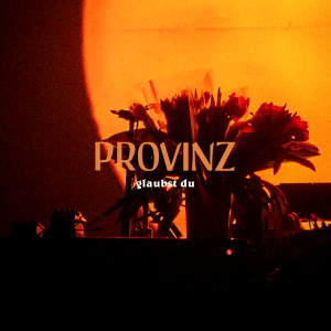 Provinz的专辑glaubst du