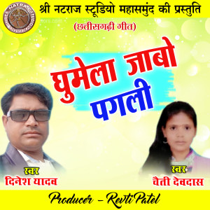 Listen to Ghumela Jabo Pagli (Chhattisgarhi Geet) song with lyrics from Dinesh Yadav