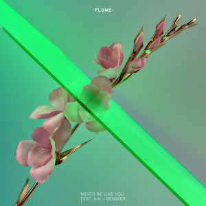 Dengarkan Never Be Like You (Disclosure Remix) (Explicit) lagu dari Flume dengan lirik