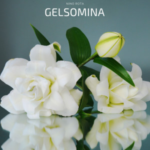 Nino Rota的專輯Gelsomina