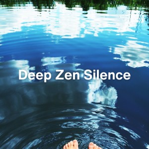 Calm Music For Sleeping的专辑Deep Zen Silence
