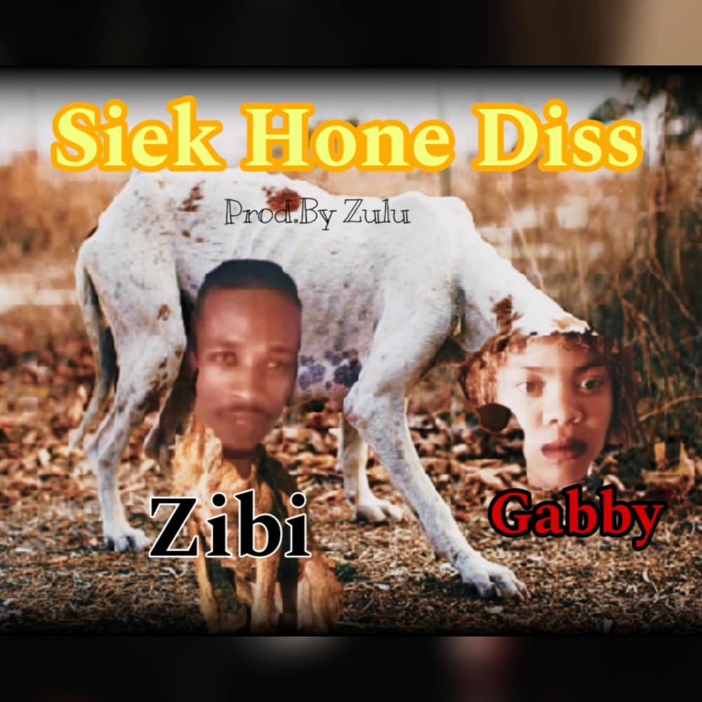 Siek Hone Gabby en Zibi Diss (feat. Nora De Gintsa) (Explicit)