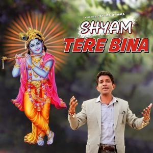 Raj Matili Wala的專輯Shyam Tere Bina