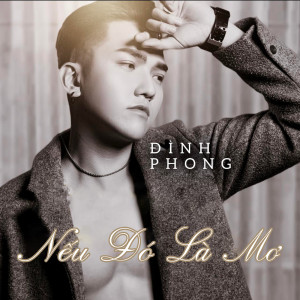 Album Nếu Đó Là Mơ from Dinh Phong