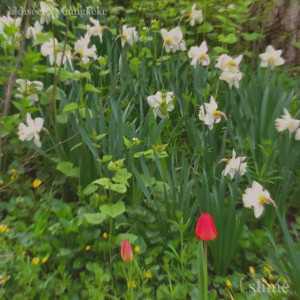 收听lildiseer的Slime (Explicit)歌词歌曲