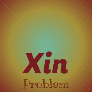 Various Artists的专辑Xin Problem