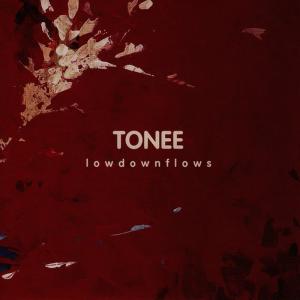 ดาวน์โหลดและฟังเพลง Roy พร้อมเนื้อเพลงจาก Tonee