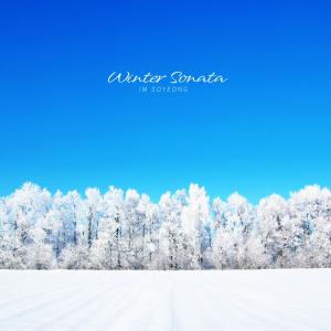 Im Soyeong的專輯Winter Sonata